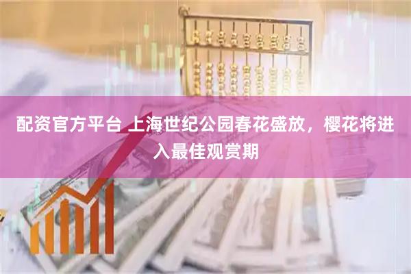 配资官方平台 上海世纪公园春花盛放,樱花将进入最佳观赏期